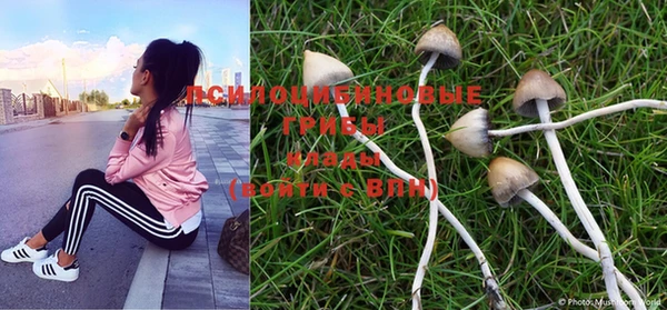 MESCALINE Кодинск