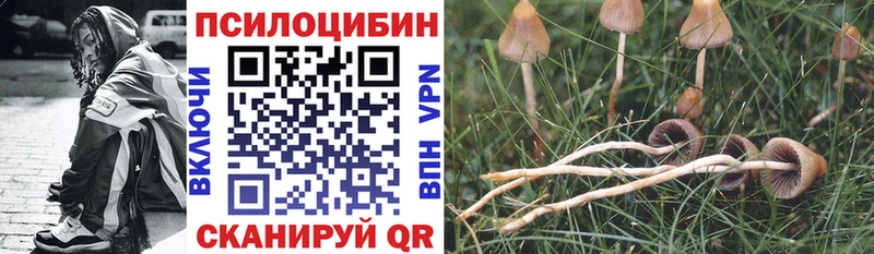 Галлюциногенные грибы Psilocybine cubensis  Лиски 