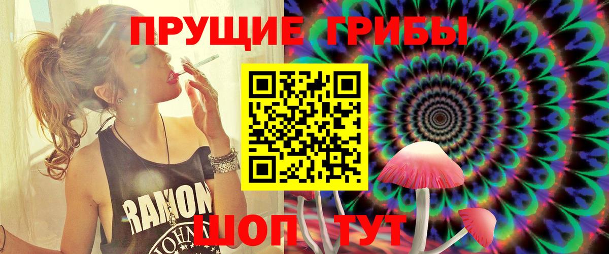 Псилоцибиновые грибы Psilocybe  Вход с VPN  Лиски 